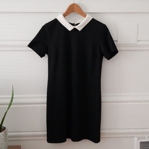 Mod black a-line dress with white collar